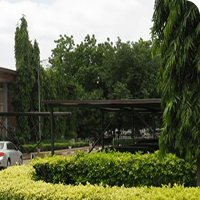 Campus greenery